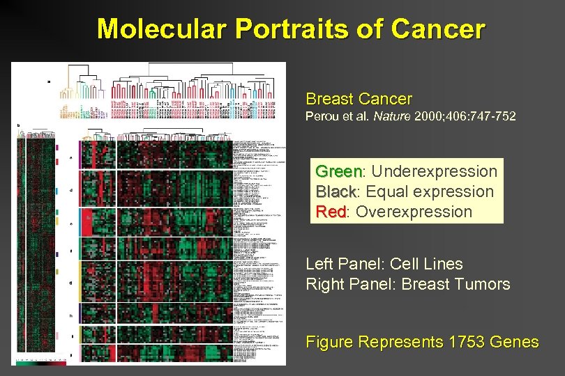 Molecular Portraits of Cancer Breast Cancer Perou et al. Nature 2000; 406: 747 -752