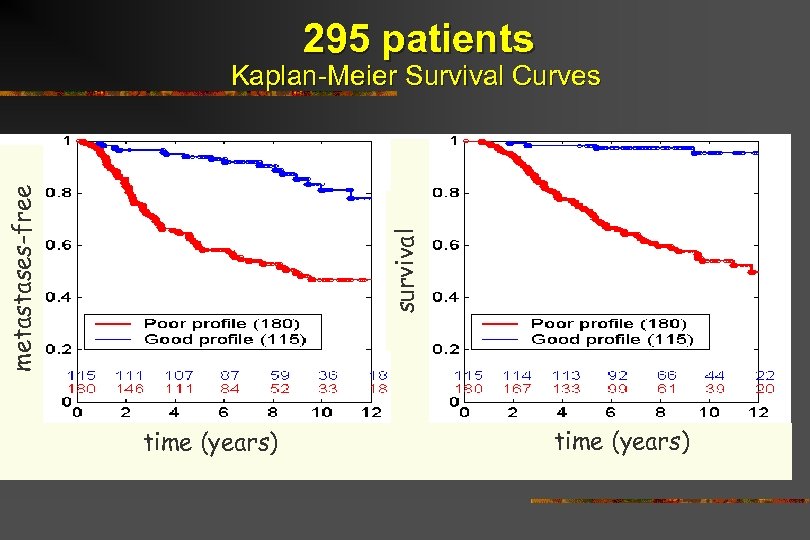 295 patients survival metastases-free Kaplan-Meier Survival Curves time (years) 