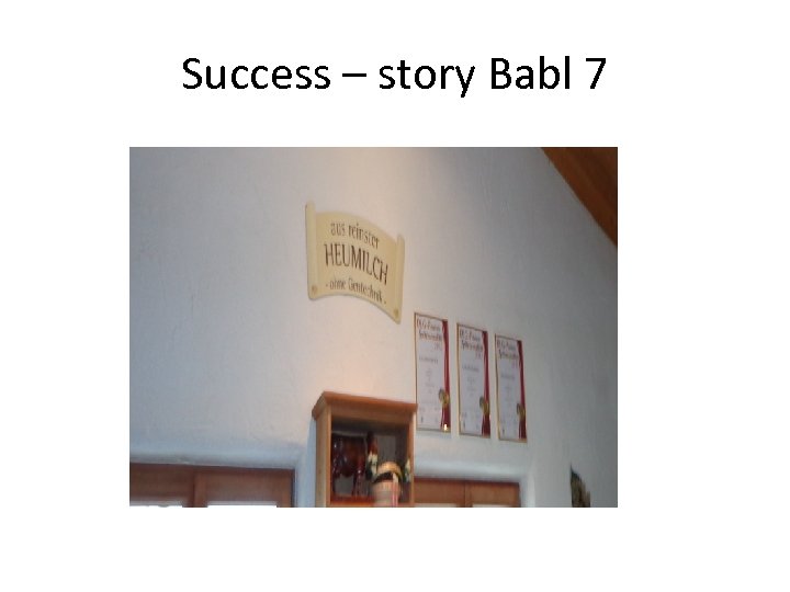 Success – story Babl 7 