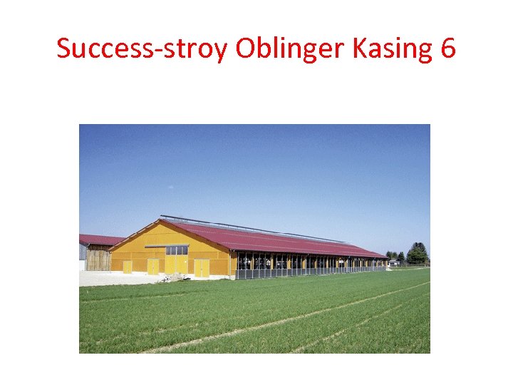 Success-stroy Oblinger Kasing 6 