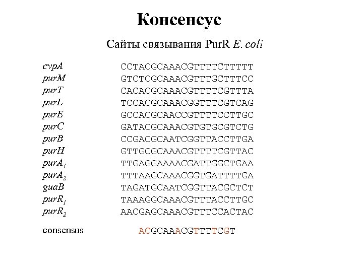 Консенсус Сайты связывания Pur. R E. coli cvp. A pur. M pur. T pur.