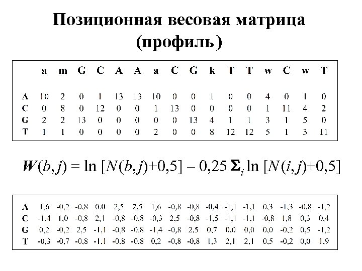 Позиционная весовая матрица (профиль ) W (b, j) = ln [N (b, j)+0, 5]