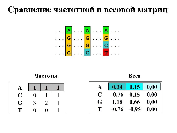 Сравнение частотной и весовой матриц Частоты Веса 