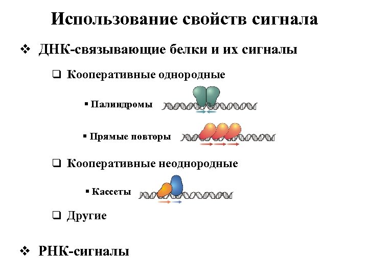 Использование свойств сигнала v ДНК-связывающие белки и их сигналы q Кооперативные однородные § Палиндромы