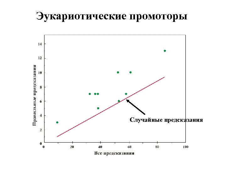 Эукариотические промоторы Случайные предсказания 