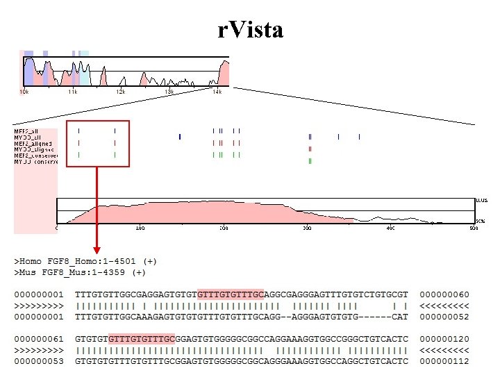 r. Vista 