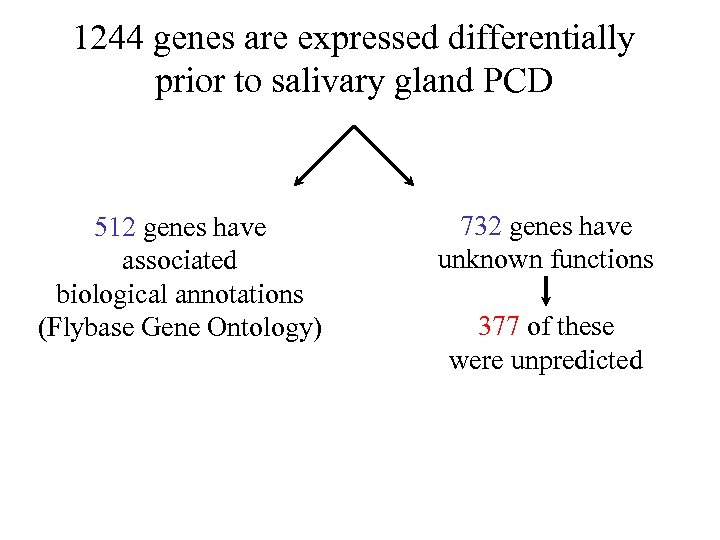 1244 genes are expressed differentially prior to salivary gland PCD 512 genes have associated