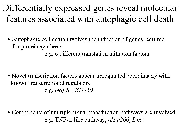 Differentially expressed genes reveal molecular features associated with autophagic cell death • Autophagic cell