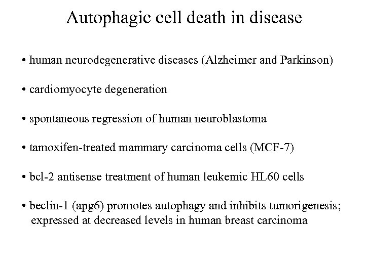 Autophagic cell death in disease • human neurodegenerative diseases (Alzheimer and Parkinson) • cardiomyocyte