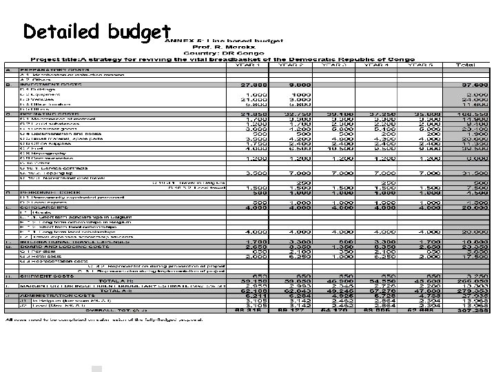 Detailed budget 
