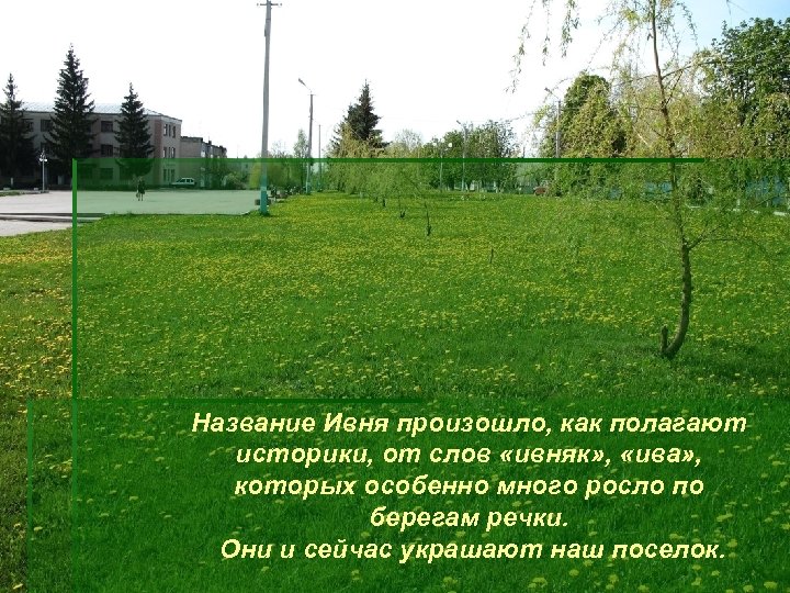 Название Ивня произошло, как полагают историки, от слов «ивняк» , «ива» , которых особенно