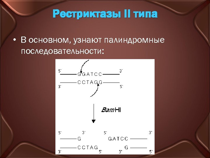 Рестриктазы II типа • В основном, узнают палиндромные последовательности: 
