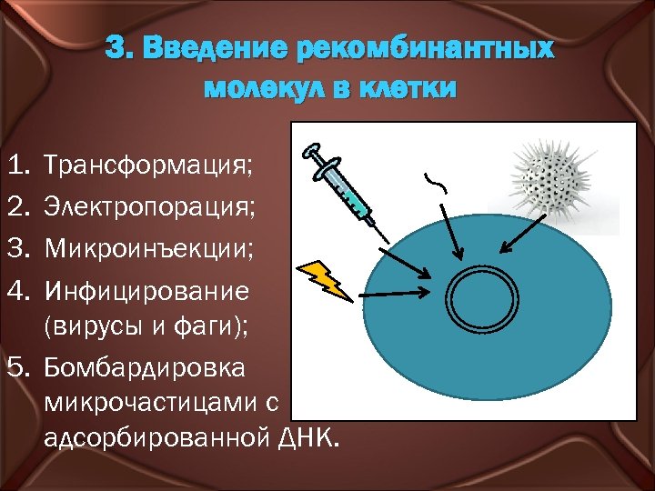 3. Введение рекомбинантных молекул в клетки 1. 2. 3. 4. Трансформация; Электропорация; Микроинъекции; Инфицирование