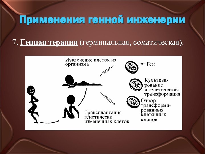 Применения генной инженерии 7. Генная терапия (герминальная, соматическая). 