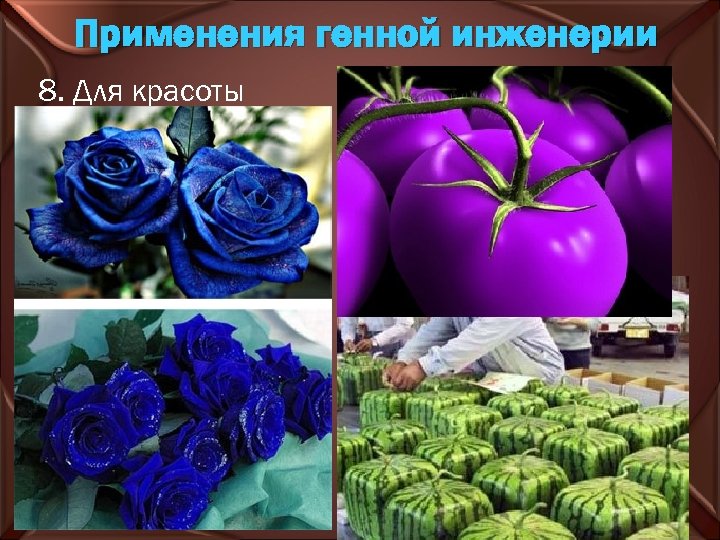 Применения генной инженерии 8. Для красоты 
