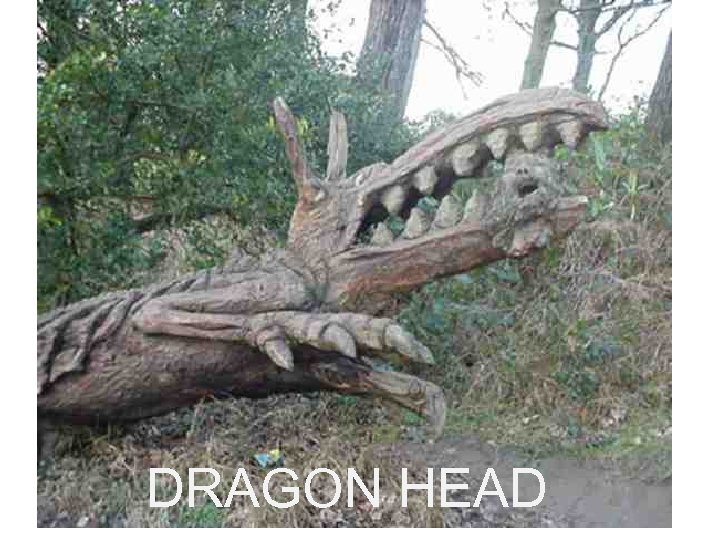 DRAGON HEAD 