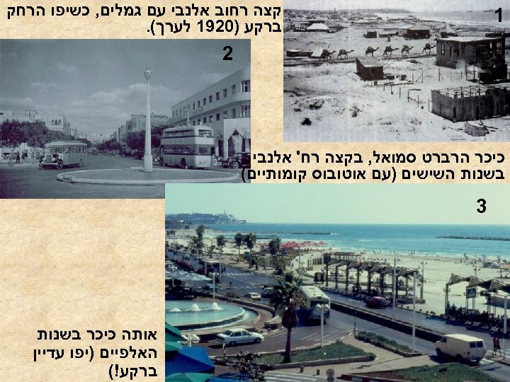  קצה רחוב אלנבי עם גמלים, כשיפו הרחק ברקע )0291 לערך(. 1 2 כיכר