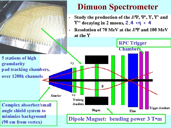 Dimuon Spectrometer • • Study the production of the J/Y, Y', U, U' and