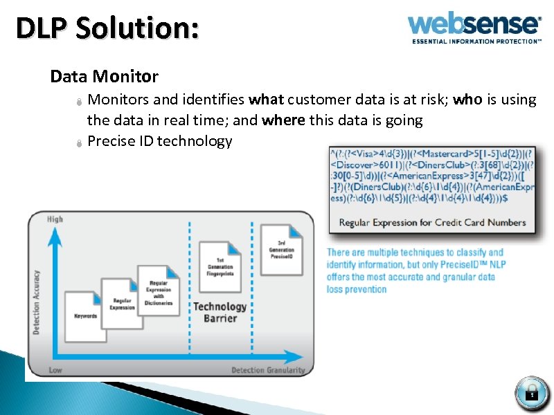  DLP Solution: Data Monitors and identifies what customer data is at risk; who