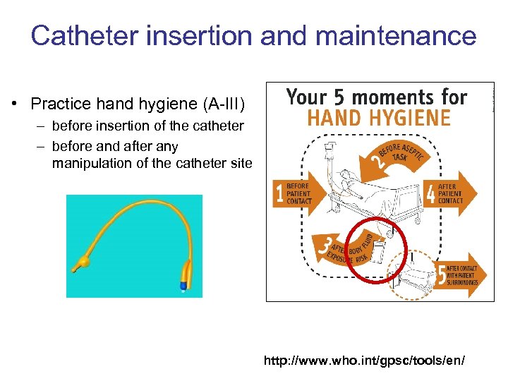 Catheter insertion and maintenance • Practice hand hygiene (A-III) – before insertion of the