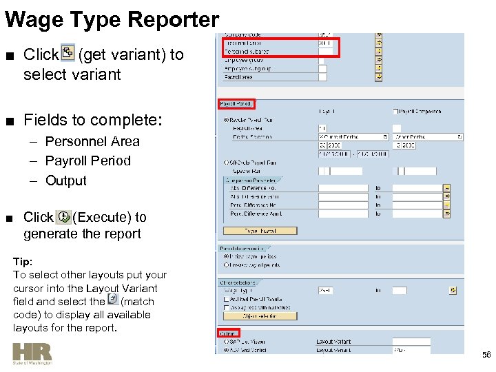 Wage Type Reporter ■ Click (get variant) to select variant ■ Fields to complete: