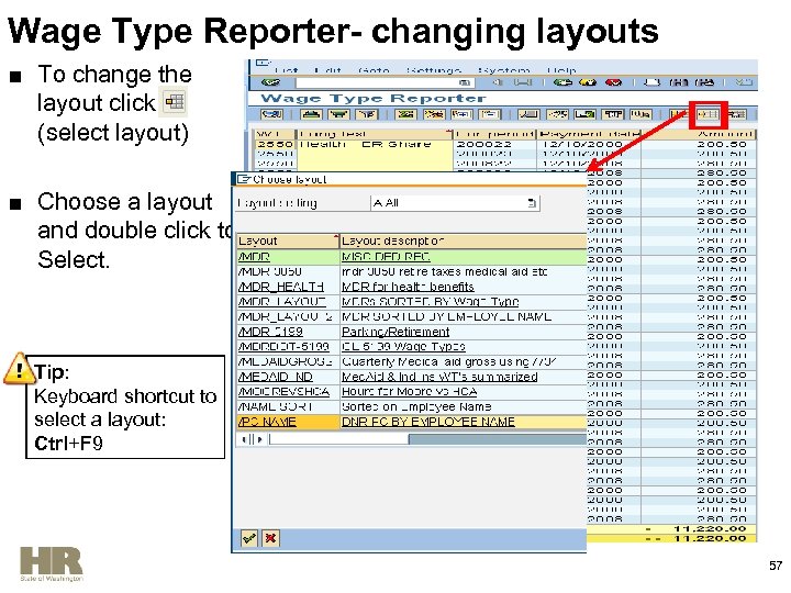 Wage Type Reporter- changing layouts ■ To change the layout click (select layout) ■