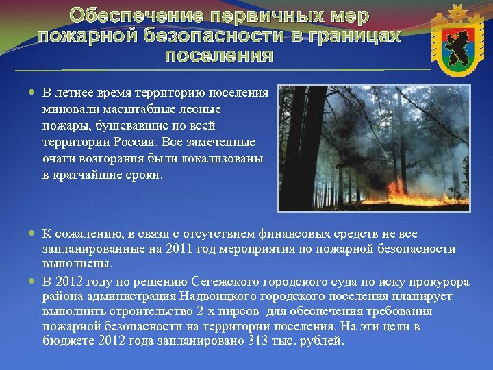 Обеспечение первичных мер пожарной безопасности в границах поселения В летнее время территорию поселения миновали