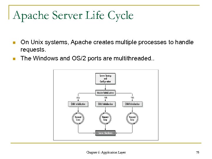 Apache Server Life Cycle n n On Unix systems, Apache creates multiple processes to