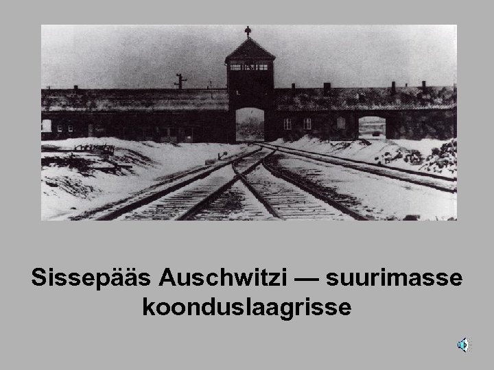 Sissepääs Auschwitzi — suurimasse koonduslaagrisse 