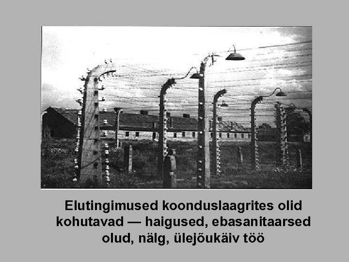 Elutingimused koonduslaagrites olid kohutavad — haigused, ebasanitaarsed olud, nälg, ülejõukäiv töö 