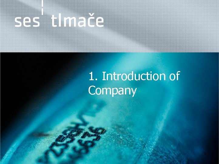  1. Introduction of Company 3 