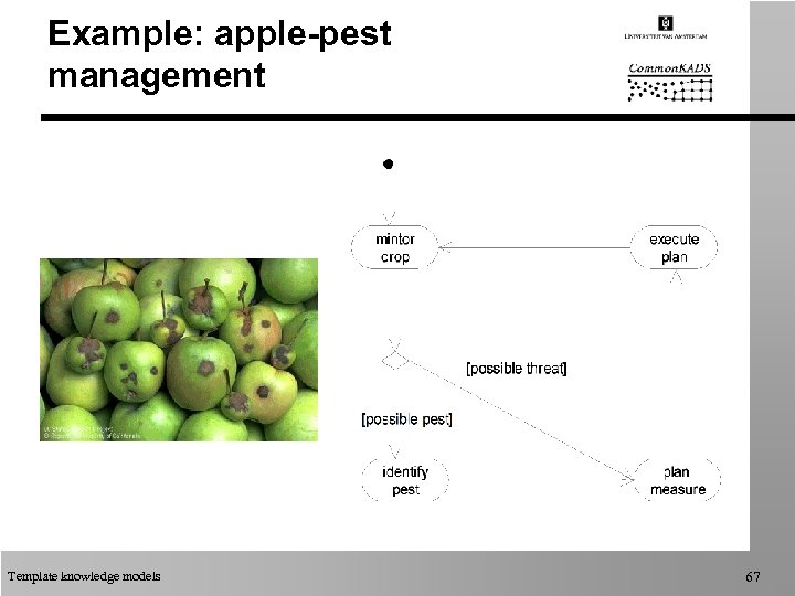 Example: apple-pest management Template knowledge models 67 