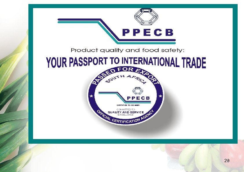 ppecb creating world-wide confidence in south african CERTIFIED TO ISO 9001 perishable export products