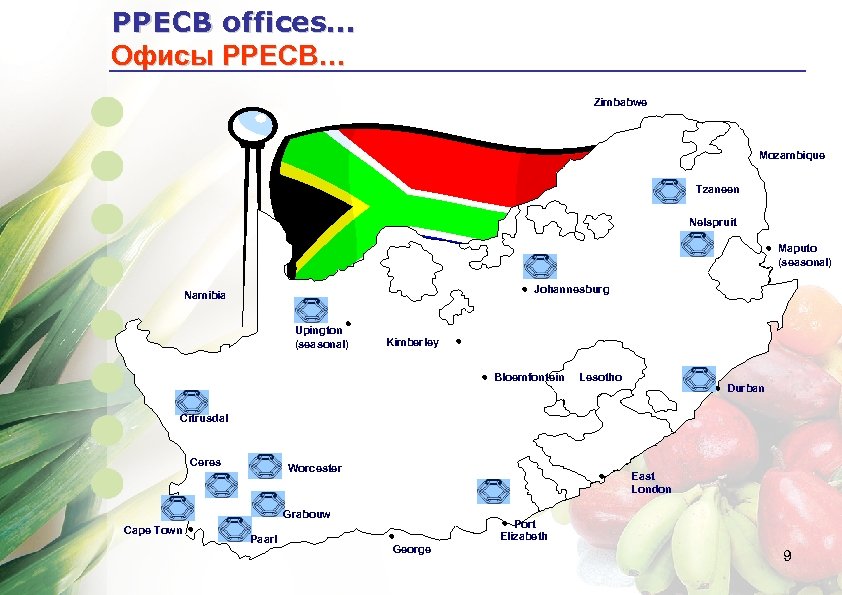 PPECB offices… Офисы РРЕСВ… Zimbabwe Mozambique Tzaneen Nelspruit h Maputo (seasonal) h Johannesburg Namibia