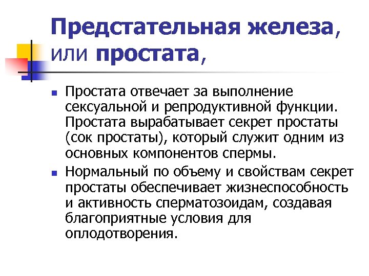 Предстательная железа, или простата, n n Простата отвечает за выполнение сексуальной и репродуктивной функции.