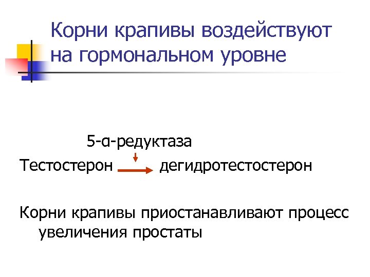 Корни крапивы воздействуют на гормональном уровне 5 -α-редуктаза Тестостерон дегидротестостерон Корни крапивы приостанавливают процесс