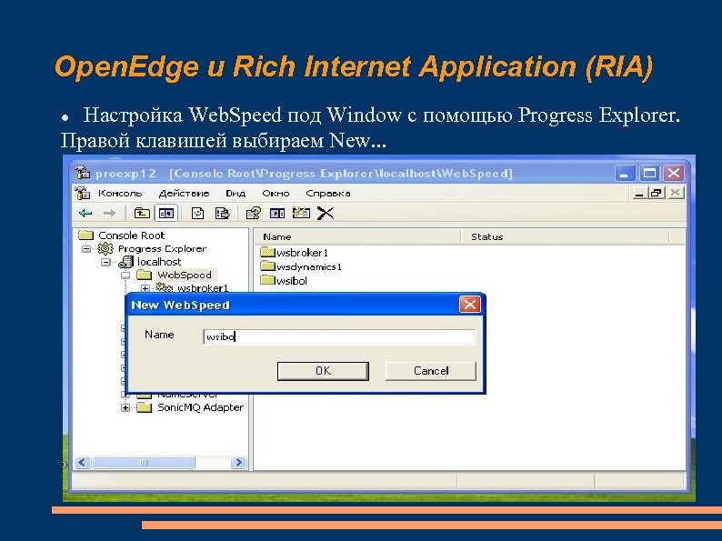 Open. Edge и Rich Internet Application (RIA) Настройка Web. Speed под Window с помощью
