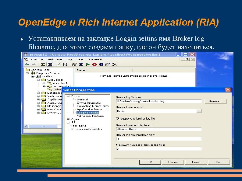 Open. Edge и Rich Internet Application (RIA) Устанавливаем на закладке Loggin settins имя Broker