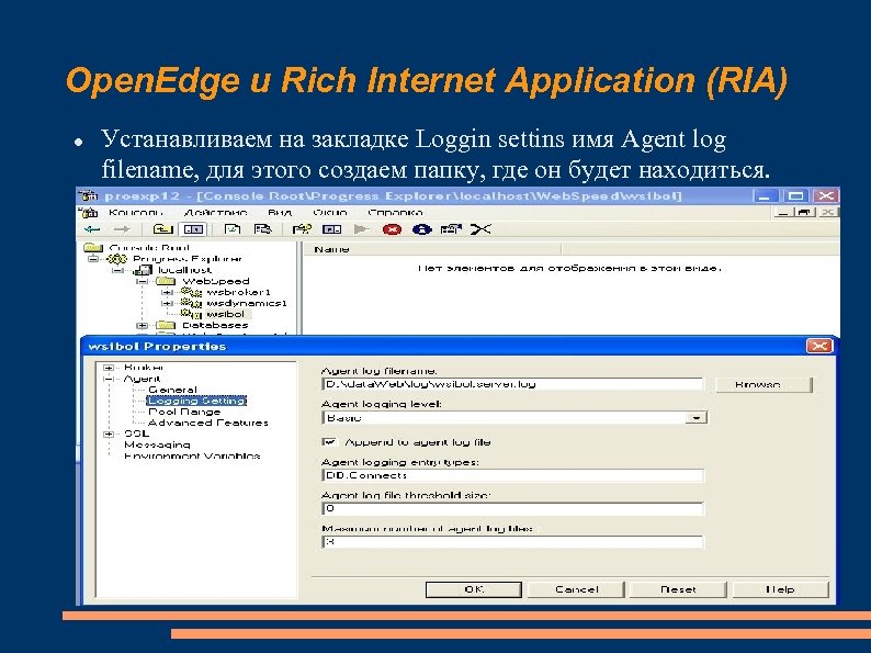 Open. Edge и Rich Internet Application (RIA) Устанавливаем на закладке Loggin settins имя Agent
