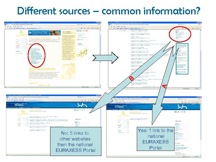Different sources – common information? A B No: 5 links to other websites than