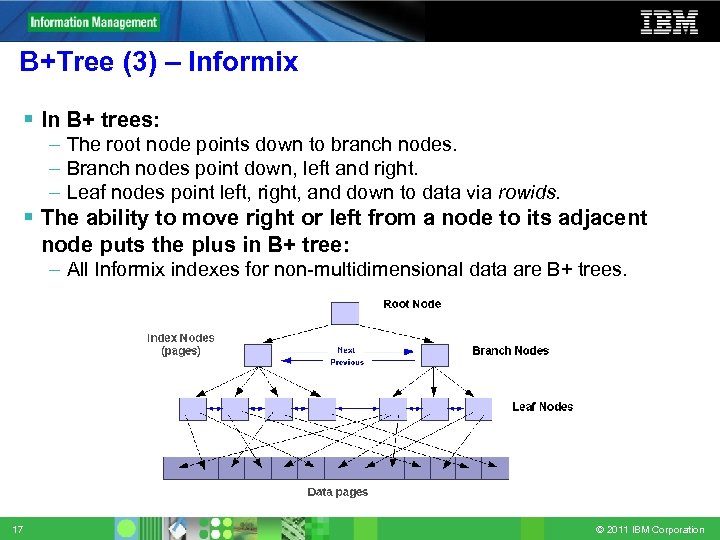 B+Tree (3) – Informix In B+ trees: – The root node points down to