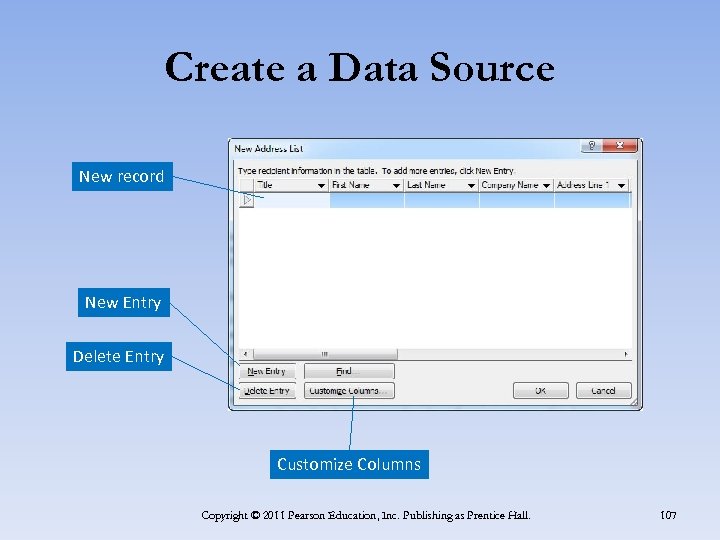 Create a Data Source New record New Entry Delete Entry Customize Columns Copyright ©
