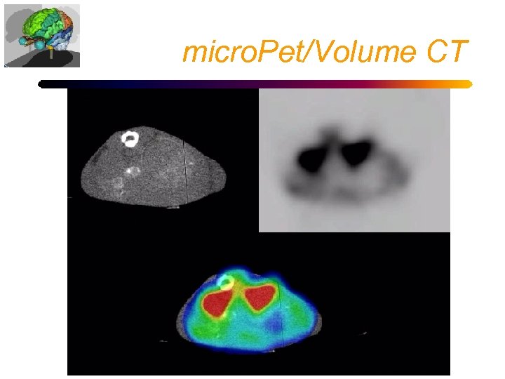 micro. Pet/Volume CT 