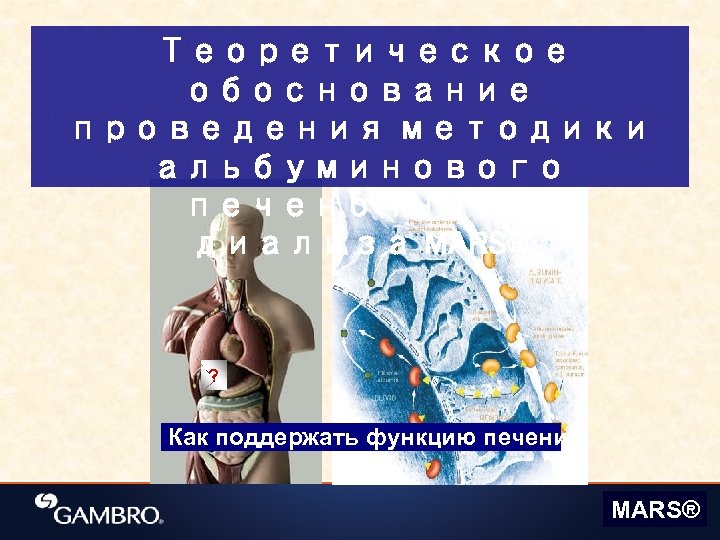 Теоретическое обоснование проведения методики альбуминового печеночного диализа MARS® ? Как поддержать функцию печени? MARS®