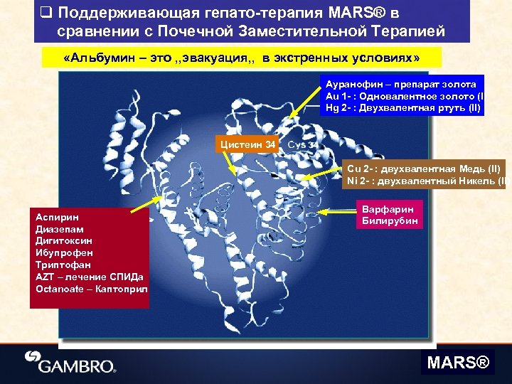 q Поддерживающая гепато-терапия MARS® в сравнении с Почечной Заместительной Терапией «Альбумин – это ,