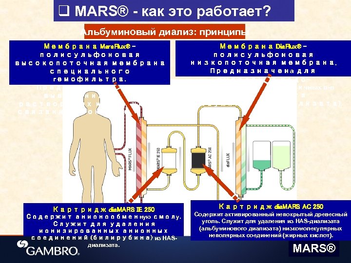 q MARS® - как это работает? Альбуминовый диализ: принципы Мембрана Mars. Flux® полисульфоновая высокопоточная