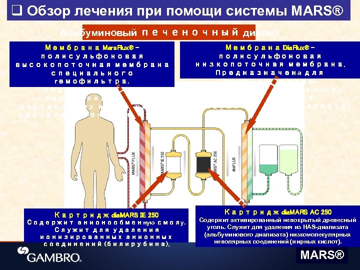 q Обзор лечения при помощи системы MARS® Альбуминовый печеночный диализ Мембрана Mars. Flux® полисульфоновая