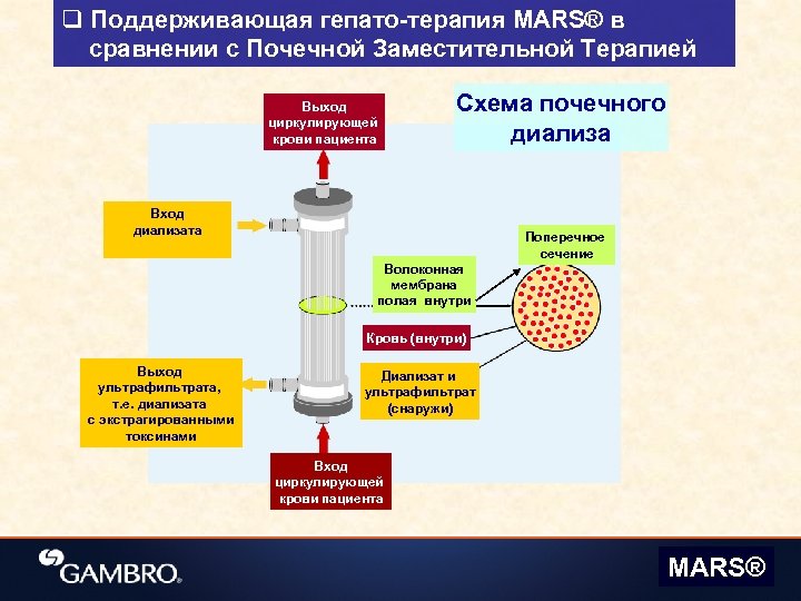 Принцип диализа