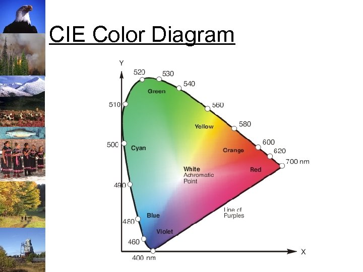 CIE Color Diagram 