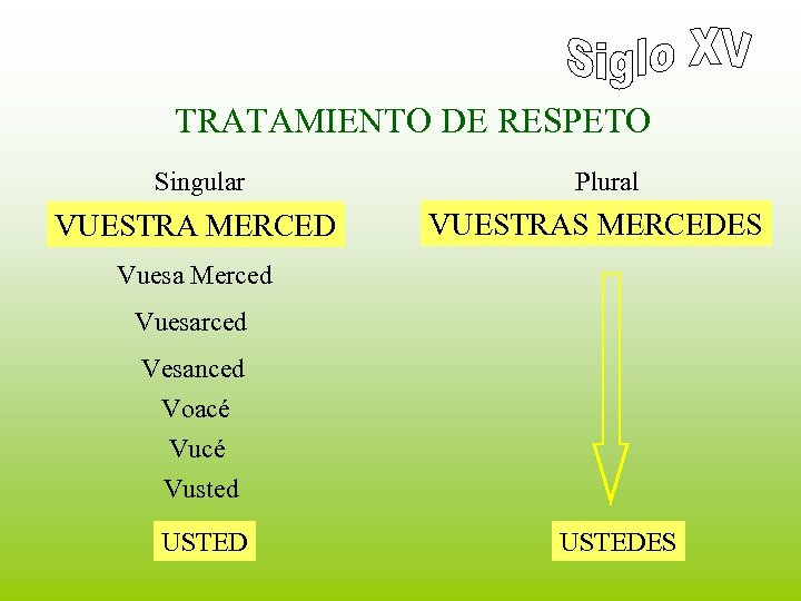 TRATAMIENTO DE RESPETO Singular VUESTRA MERCED Plural VUESTRAS MERCEDES Vuesa Merced Vuesarced Vesanced Voacé